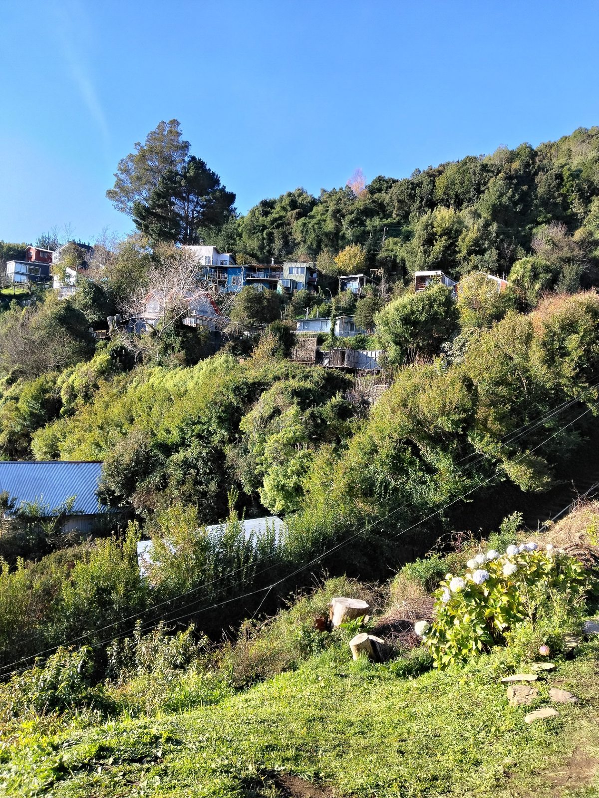 VISTA SECTOR