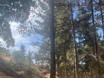 Venta / Sitio / Valparaíso