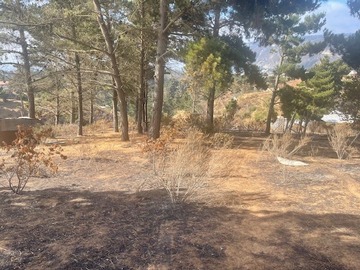 Imagen 11
