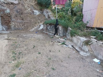 Imagen 9