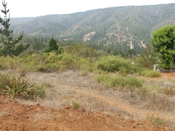 Imagen 11