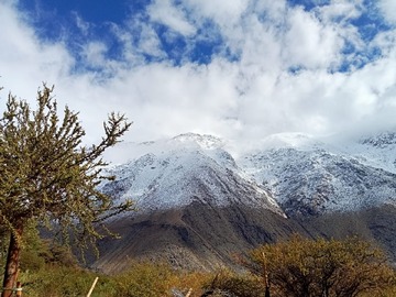 Venta / Sitio / Vicuña