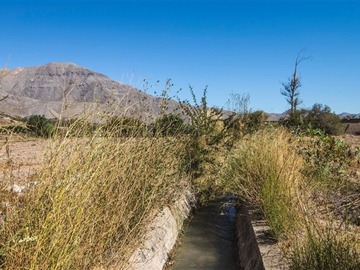 Venta / Sitio / Vicuña