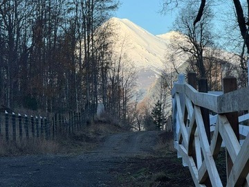 Venta / Sitio / Vilcún