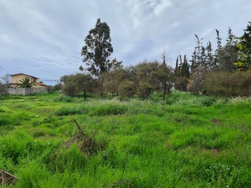 Venta / Sitio / Villa Alemana