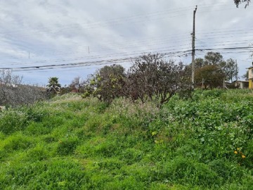 Imagen 5