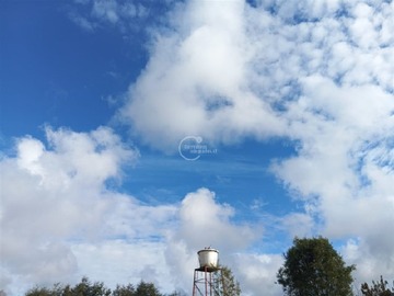 Imagen 9