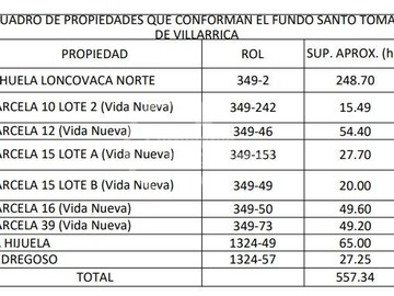 Imagen 17