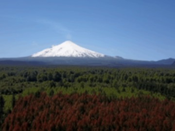 Imagen 11