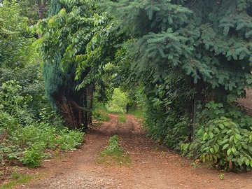 Venta / Sitio / Villarrica