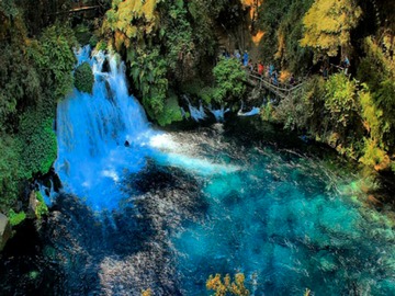 Imagen 8