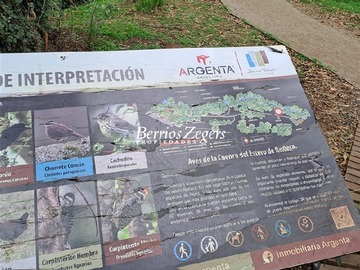 Imagen 13
