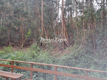 Imagen 10
