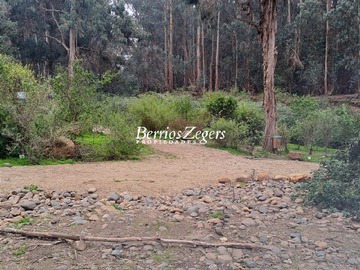 Imagen 6