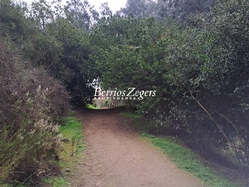 Imagen 9