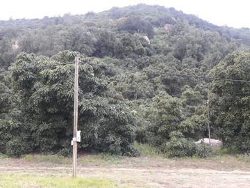 Venta / Sitio / Vitacura