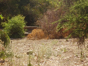 Venta / Sitio / Vitacura