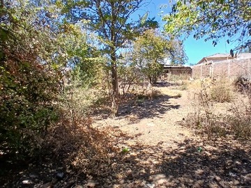 Imagen 6