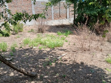 Imagen 16