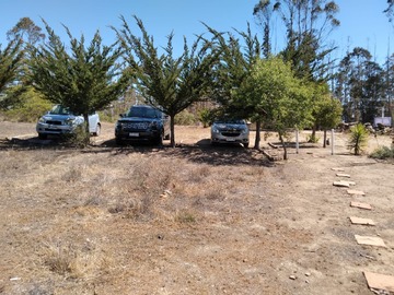 Imagen 7