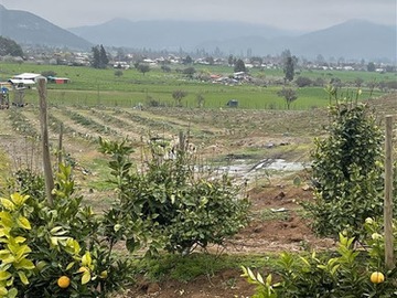 Venta / Terreno Agricola / Alhué