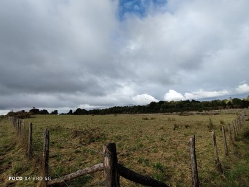 Imagen 22