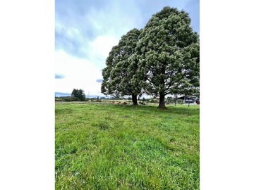 Venta / Terreno Agricola / Ancud