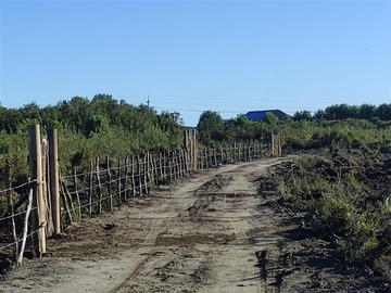 Imagen 5