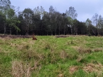 Venta / Terreno Agricola / Ancud