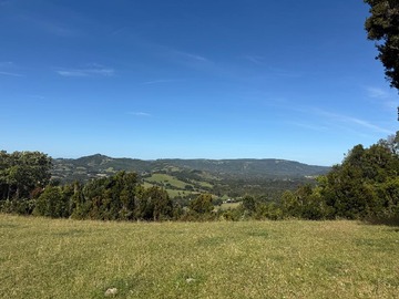 Venta / Terreno Agricola / Ancud