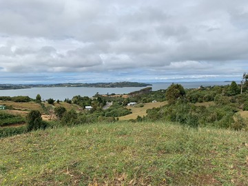 Venta / Terreno Agricola / Ancud