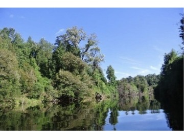 Venta / Terreno Agricola / Ancud