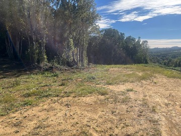 Venta / Terreno Agricola / Ancud