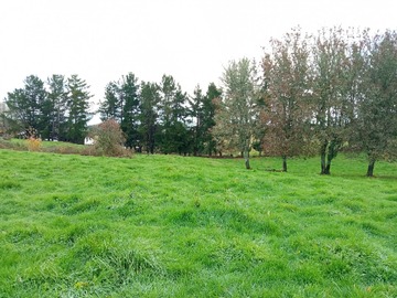 Venta / Terreno Agricola / Ancud