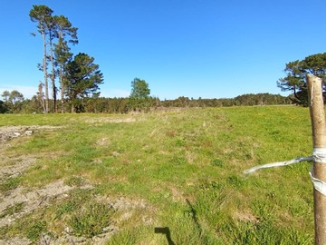 Venta / Terreno Agricola / Ancud