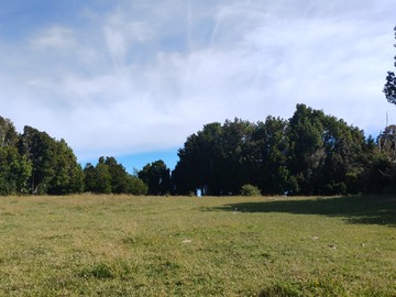 Venta / Terreno Agricola / Ancud