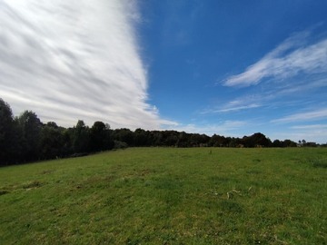 Venta / Terreno Agricola / Ancud