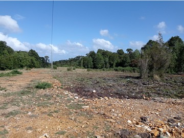 Venta / Terreno Agricola / Ancud