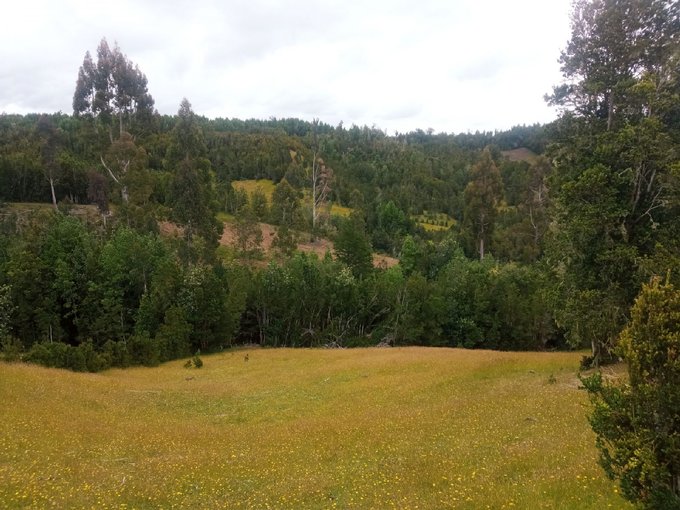 Lote 5