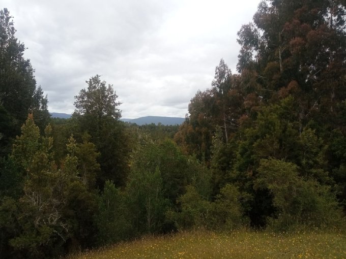 Lote 3