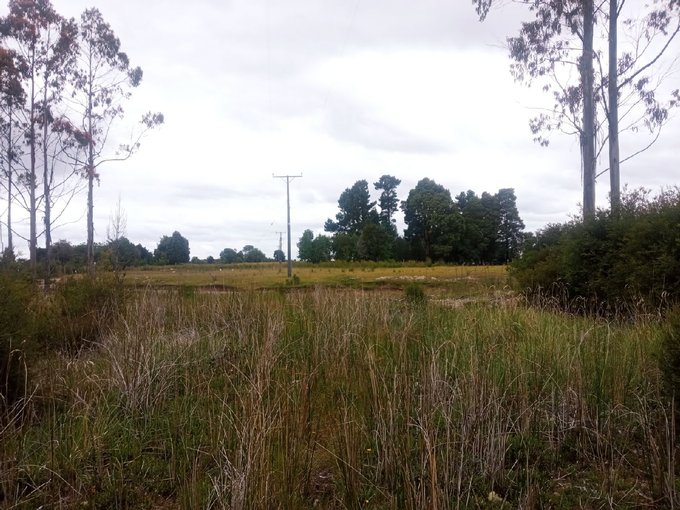 Lote 2