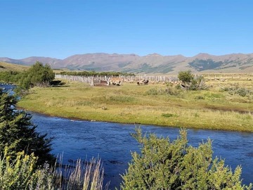 Venta / Terreno Agricola / Antuco