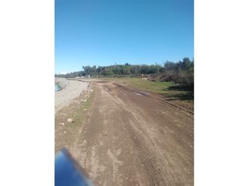 Venta / Terreno Agricola / Arauco