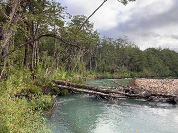 Venta / Terreno Agricola / Aysén
