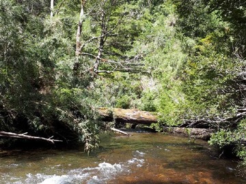 Venta / Terreno Agricola / Aysén