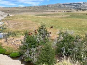 Venta / Terreno Agricola / Aysén