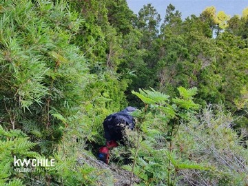 Imagen 8