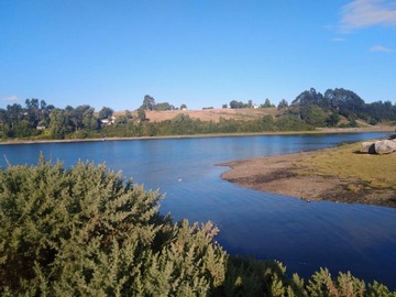 Venta / Terreno Agricola / Calbuco