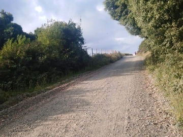 Imagen 8