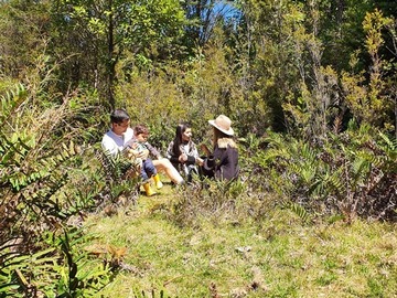 Imagen 8